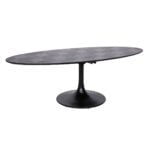 Table à dîner Blax ovale 250x120