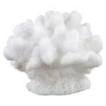 Faux corail Mare